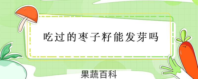 吃过的枣子籽能发芽吗