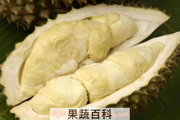 榴莲壳怎么吃 榴莲壳的功效与作用