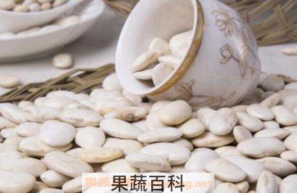 白芸豆的功效与禁忌