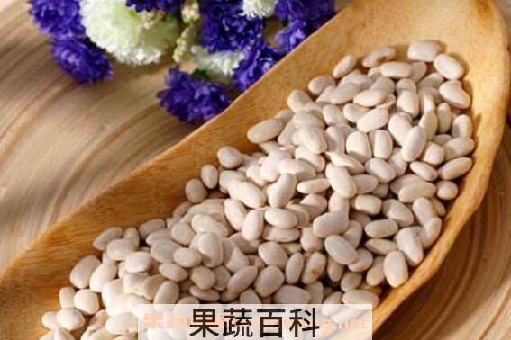 白芸豆的功效与禁忌