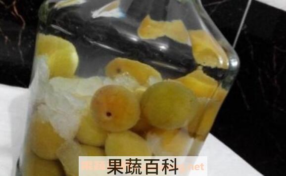 酸梅酒的功效与作用
