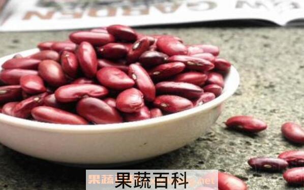 红芸豆的功效与禁忌