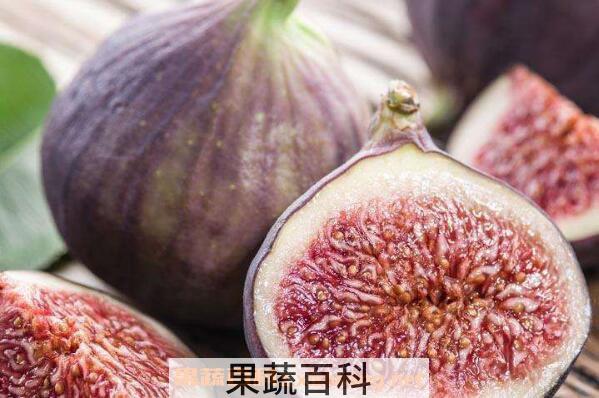 无花果粉的功效与作用