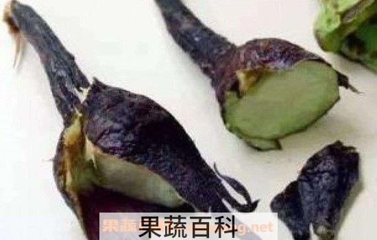 茄子蒂