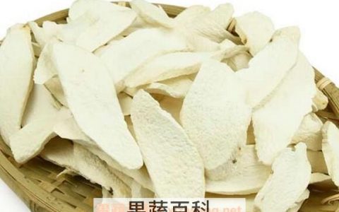 山药片的功效与禁忌 山药片有什么作用