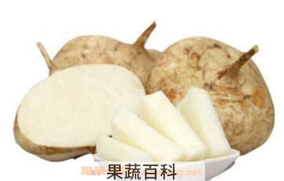 土瓜怎么吃 土瓜的食用方法