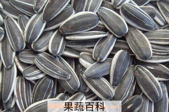 葵花籽的功效与作用及食用方法