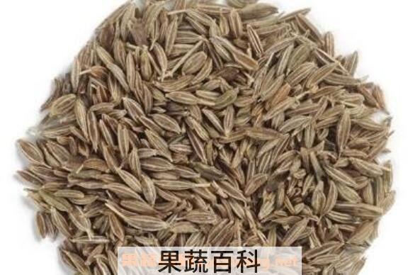 小茴香和孜然的区别 小茴香和孜然的用法