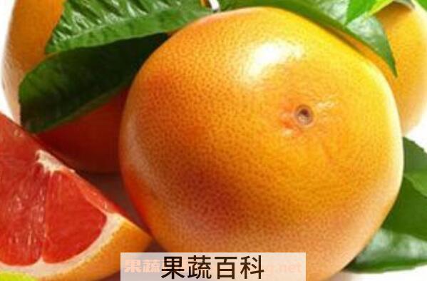葡萄柚油的功效与作用