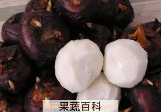 马蹄的最佳吃法和做法
