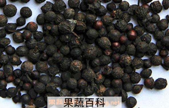山胡椒怎么吃 吃山胡椒有什么好处