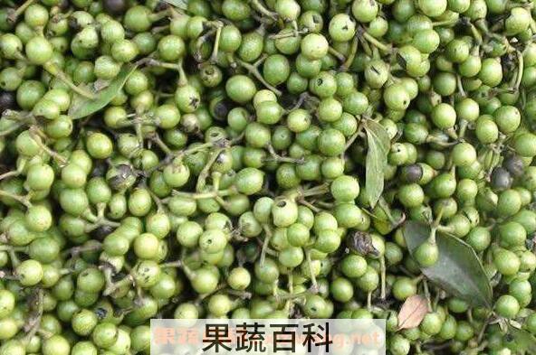 山胡椒怎么吃 吃山胡椒有什么好处