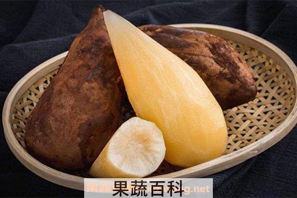 雪莲果
