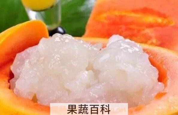 雪蛤的功效与作用 雪蛤的禁忌
