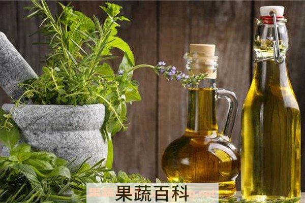 橄榄油
