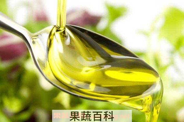 橄榄油