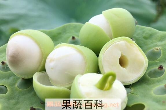 新鲜莲子怎么吃好 新鲜莲子的吃法技巧