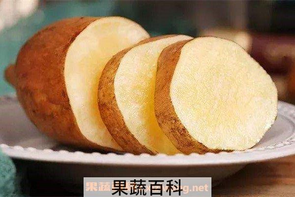 雪莲果