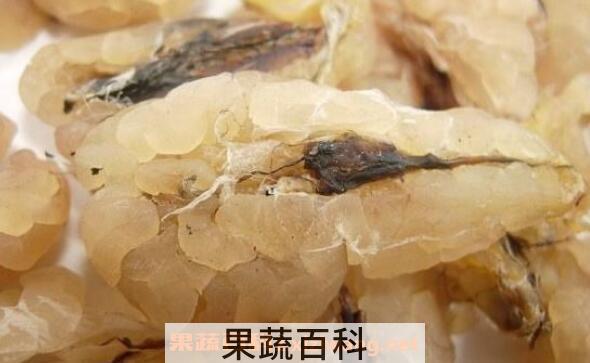 雪蛤干的功效与作用 吃雪蛤干的好处