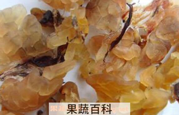 雪蛤皮的功效与作用