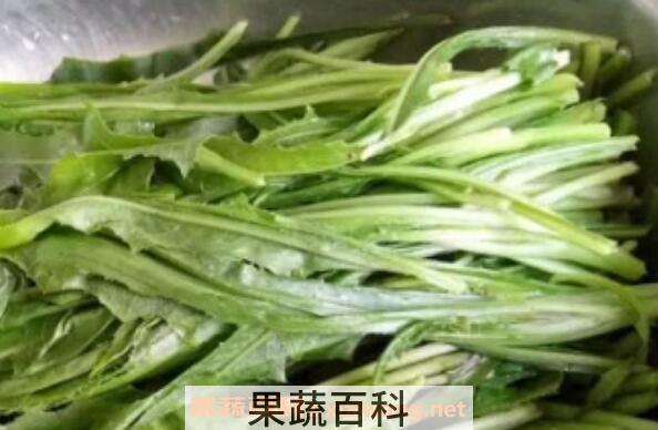 奶浆菜的作用与功效