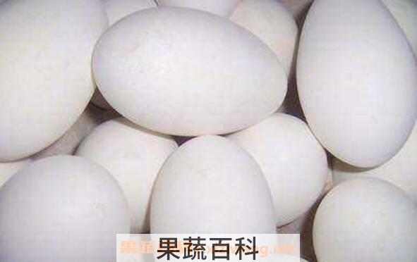 女性长期吃鹅蛋的好处