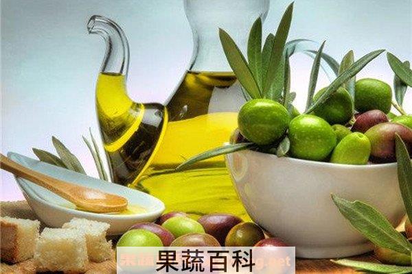 橄榄油