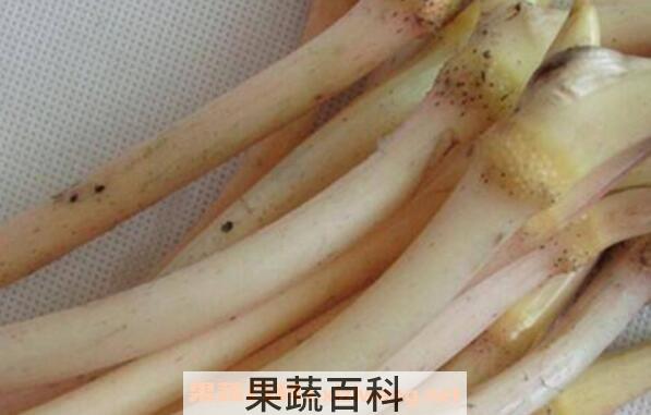 莲藕带和藕杆的区别