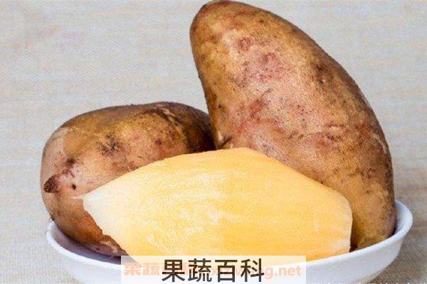 雪莲果