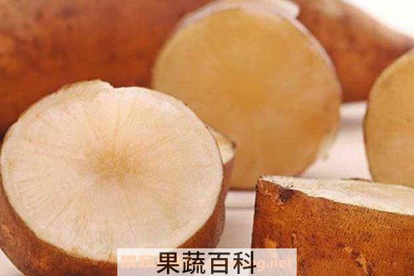 雪莲果