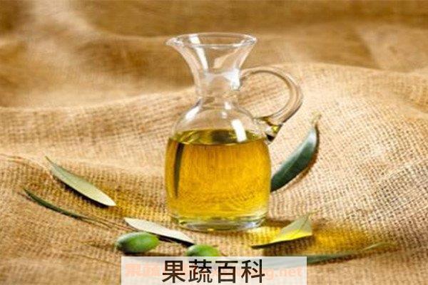 橄榄油