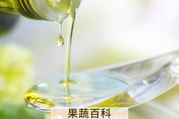 橄榄油