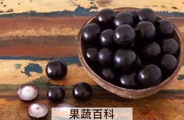 阴阳果的功效与作用 阴阳果是什么