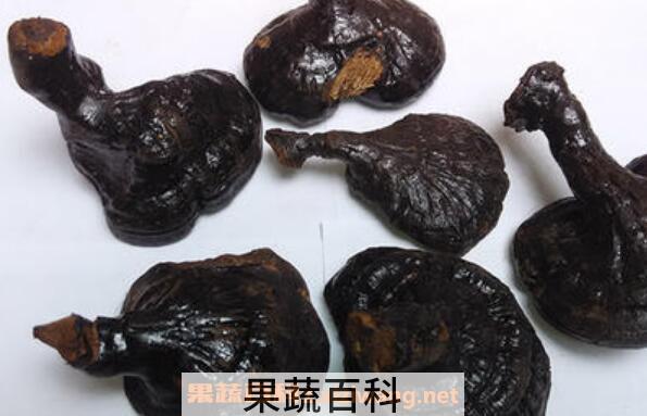 桦树灵芝的功效与作用