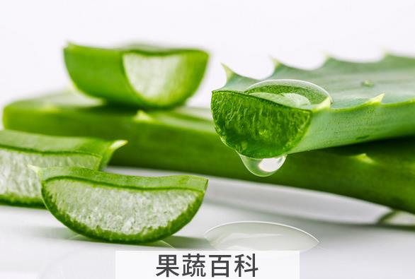 果蔬百科芦荟的功效与作用