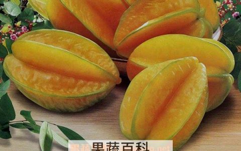 杨桃的正确吃法 孕妇吃杨桃的好处和坏处