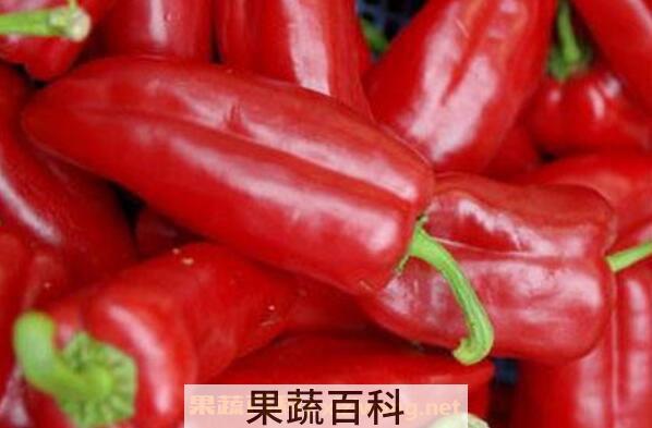 红青椒的营养价值 吃红青椒的好处