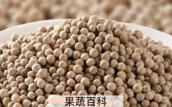 山胡椒与胡椒有区别吗
