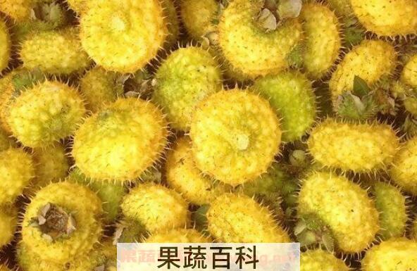 刺梨对肾的功效与作用 吃刺梨的好处