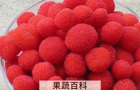 空心泡的功效与作用 吃空心泡的好处