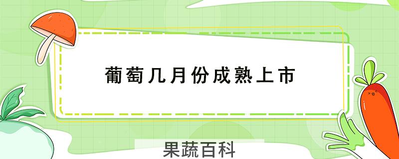 葡萄几月份成熟上市