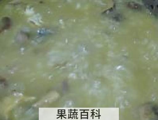 果蔬百科海马粥