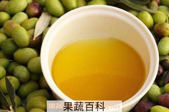 山茶油的功效与作用 山茶油能美容吗