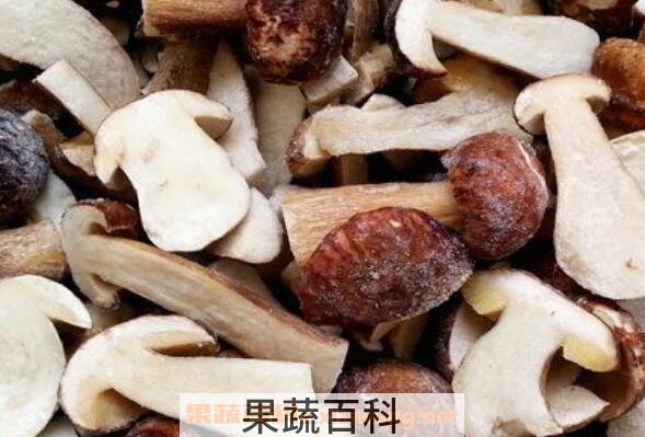 白牛肝菌的功效与作用