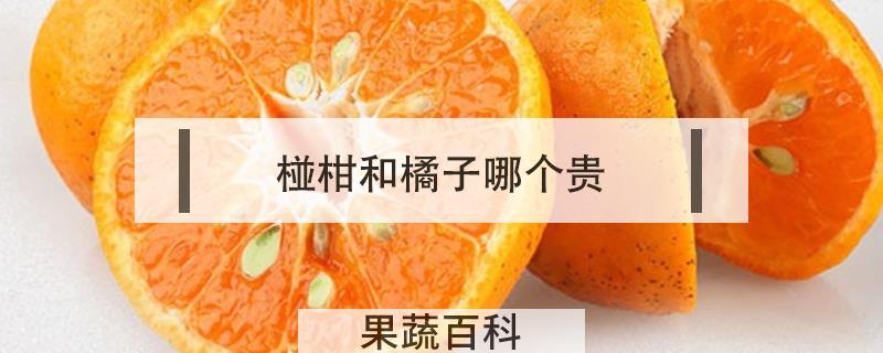 椪柑和橘子哪个贵