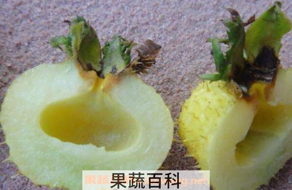 野生刺梨怎么吃 野生刺梨的食用方法