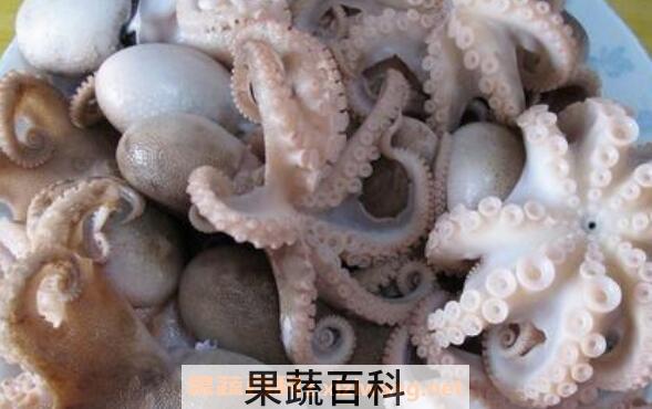 八带鱼的功效与作用	