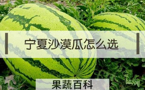 宁夏沙漠瓜怎么选