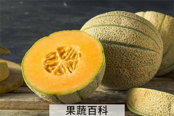 鄯善县哈密瓜几月成熟