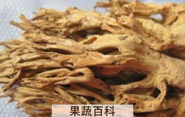 刷把菌的功效和作用 刷把菌的副作用